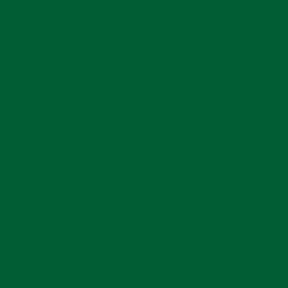 Cactus - 290g