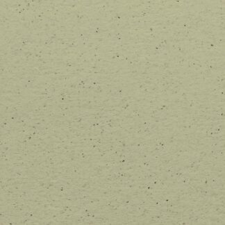 Kiwi - 250g