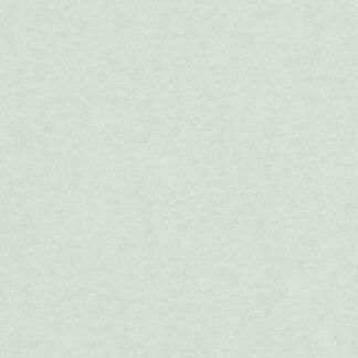 Pastelgroen - 300g