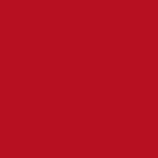 Rood - 300g