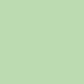 Springgreen - 240g