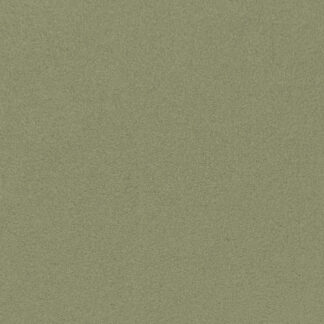 Verdigris - 250g
