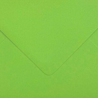 Envelop Bamboo