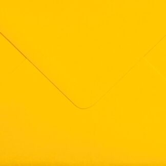Envelop Sunflower