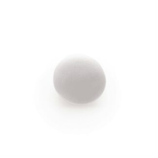 Lentilles - Wit