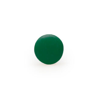 Lentilles - Pine