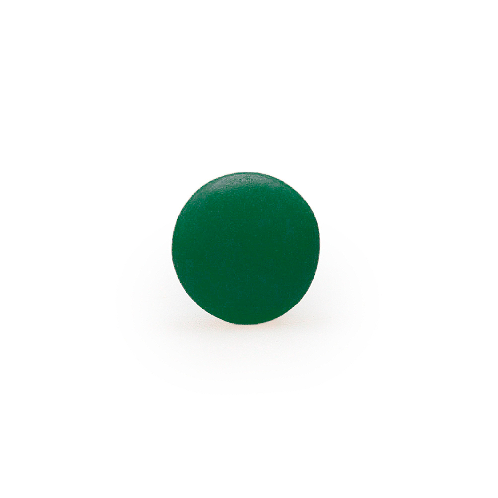 Lentilles - Pine