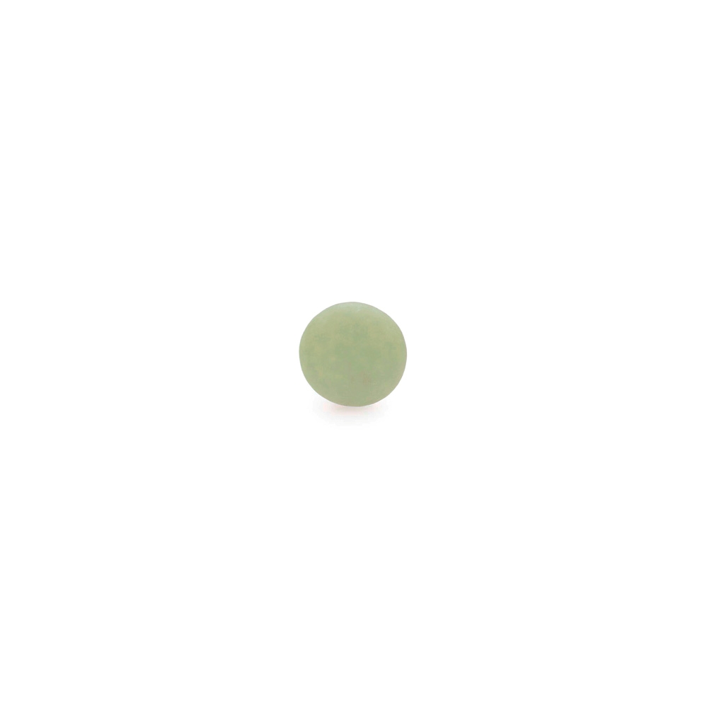 Lentilles XS - Eucalyptus