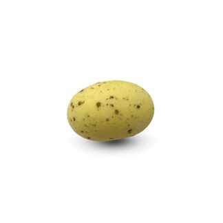 Cookie Choc's Geel