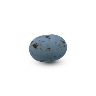 Cookie Choc's Pastelblauw