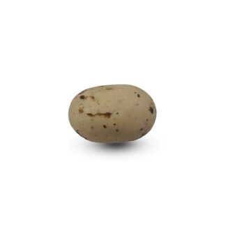Cookie Choc's Tortora